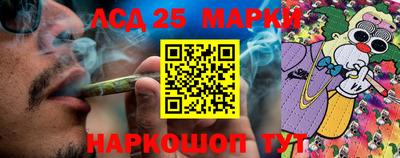сатива Моздок