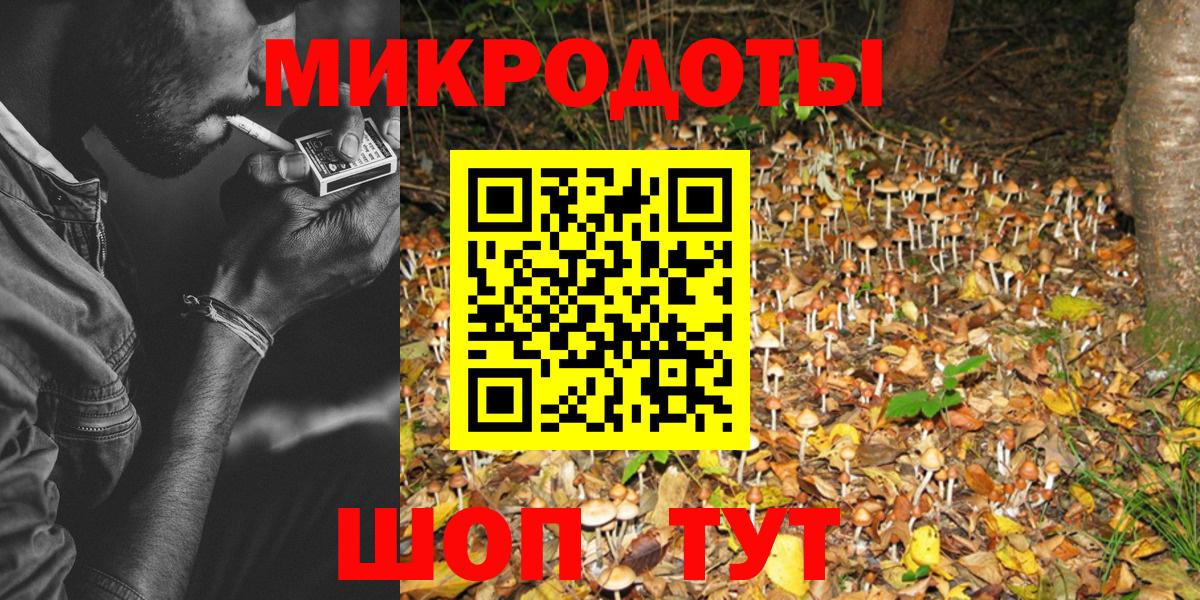 Галлюциногенные грибы GOLDEN TEACHER  Вход с VPN  Волгоград  цены   Псилоцибиновые грибы прущие грибы 